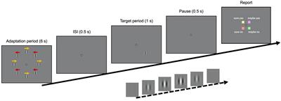 Building a decoder of perceptual decisions from microsaccades and pupil size